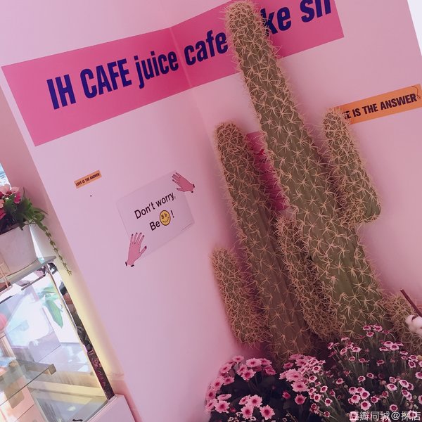 豆瓣出品：周末去哪儿·深圳丨这个朝代真正实现了靠脸可以混饭吃！