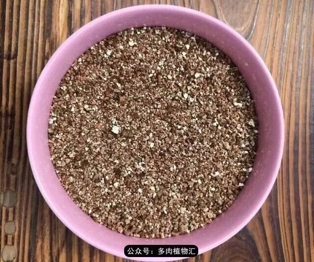 韩国如何养多肉,家庭养多肉用什么施肥