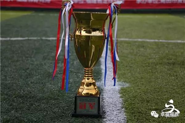 福建省足球省赛冠军,福建省足球比赛冠军