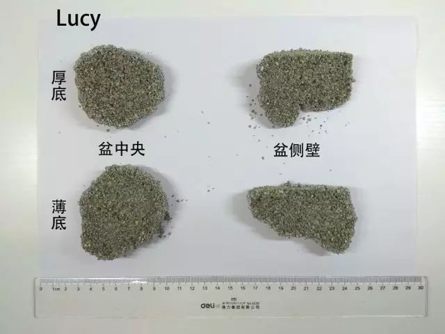便宜好用膨润土,松木很不好吗