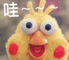 深圳南山区羽众羽毛球俱乐部,羽毛球运动员集结