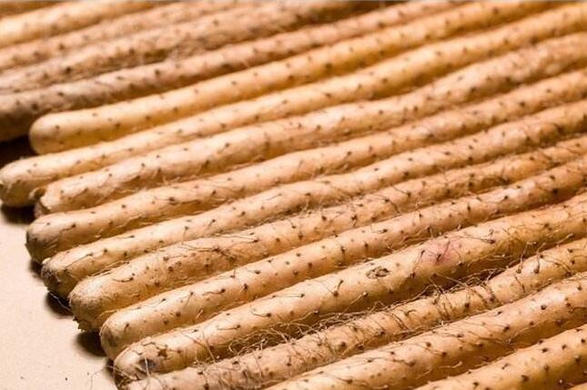 山药切完手痒是为什么,切了山药手痒怎么办