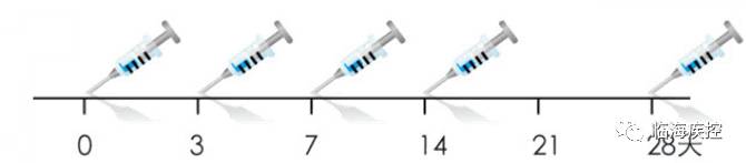 狂犬病相关知识世界狂犬病日,致死率100%的狂犬病你该怎么预防
