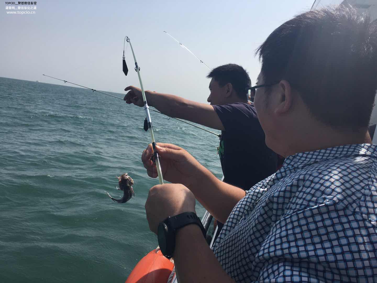 灞变笢cio骞翠細,cio鏅哄簱