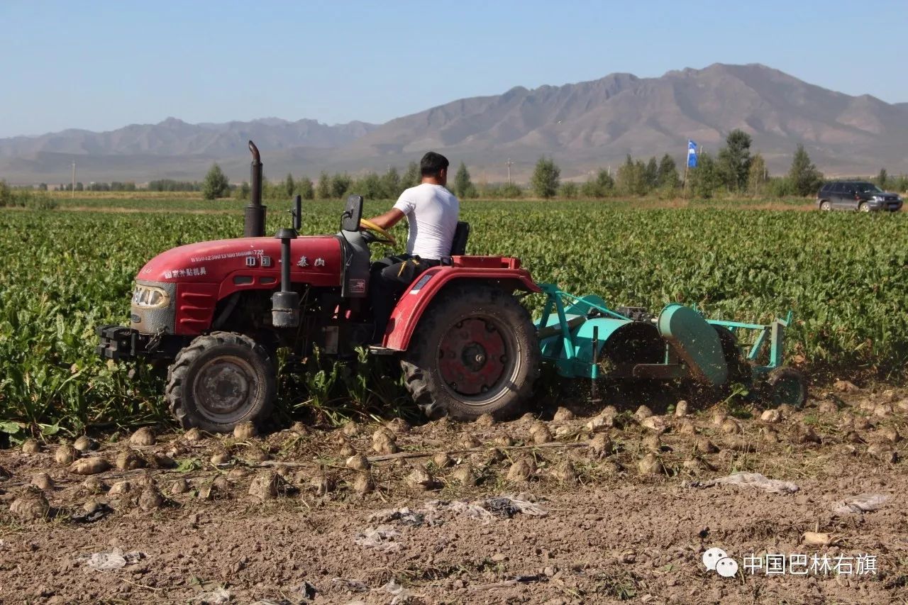 巴林右旗农机推广中心,农机化技术推广现场会在我县召开