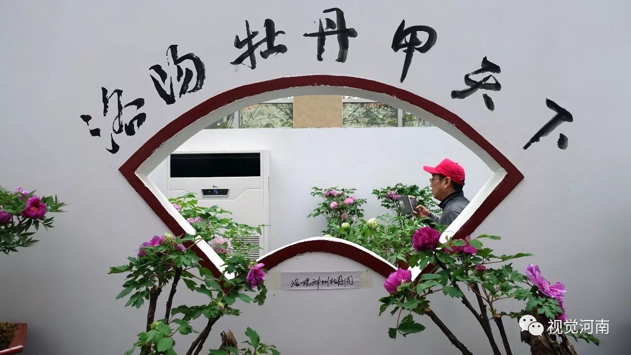 鄢陵2023花博会开幕式实况,河南许昌鄢陵花博会