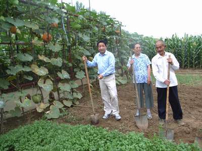 农庄管理的方法和技巧,怎样管理好一个农场
