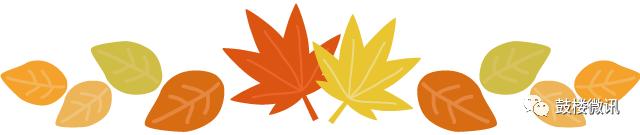 我们的故事从这里开始图片,我们的故事从这里开始普通话