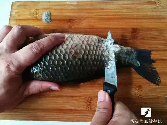 用刀可以刮去鱼鳞吗,用起来太方便刮鱼鳞几秒轻松搞定