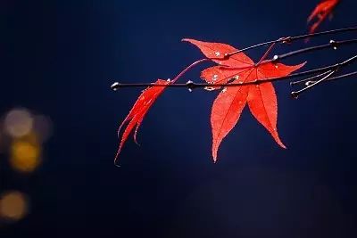 在青岛，没人能够战胜天气