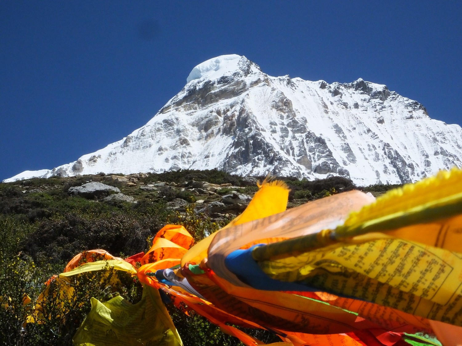 泸亚东线沿途风景,泸亚线穿越原始森林