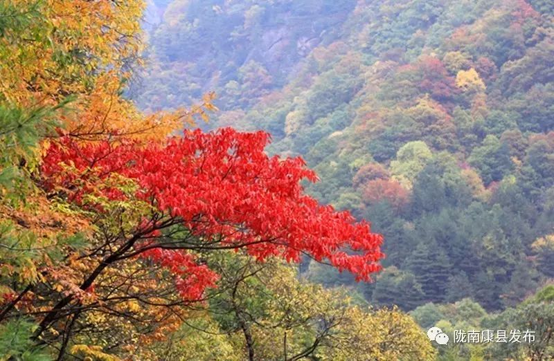 康县美丽的秋天,新县醉美秋景