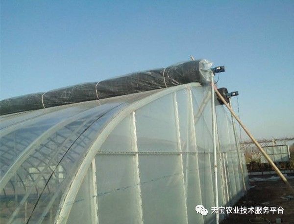 新型温室大棚哪种造价最低,温室大棚的种类及优点