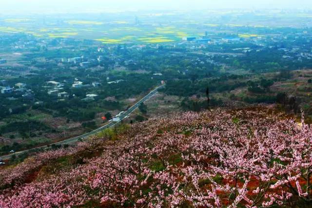 成都欧洲中心青白江,青白江到欧洲的桥头堡