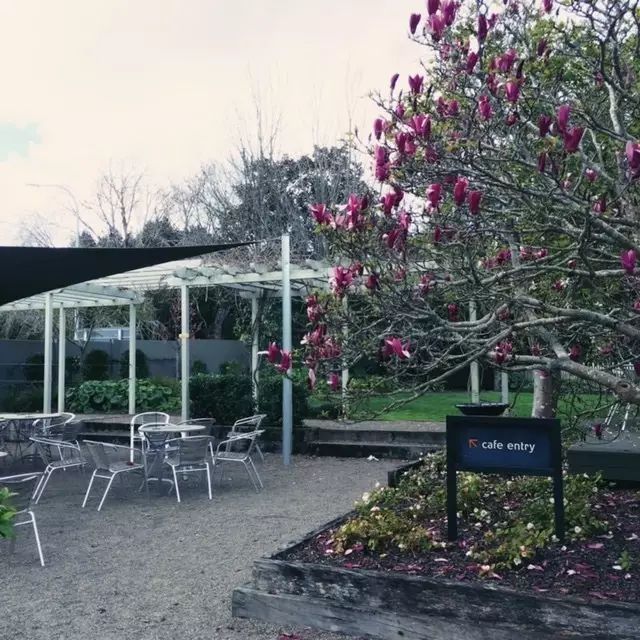 营养师妈妈带娃,营养师妈妈测评怎么写