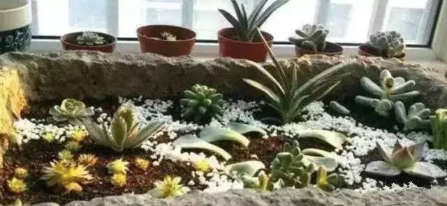 发财了！这东西以前常州家家有！扔了没人要，如今价值上万……