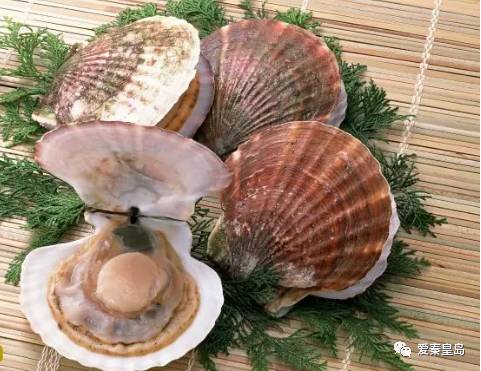 秦皇岛哪儿的海鲜便宜,秦皇岛海鲜值得推荐吗