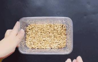 家里有老鼠怎么办快速灭鼠的方法,自制灭老鼠最有效又简单的方法