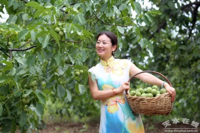 天水市委常委、副市长李晓东:我家门前清水流,漫山遍野鲜核桃!