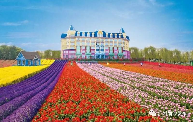 「关注」南沙举办“全球环境展望——世界环境科学家大会”招待会，还有精彩活动邀你参加！