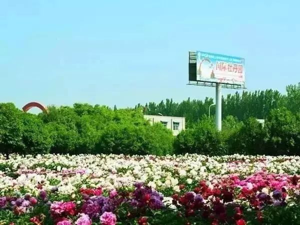 洛阳旅游攻略必去的地方最新,最新洛阳旅游攻略一日游详细路线