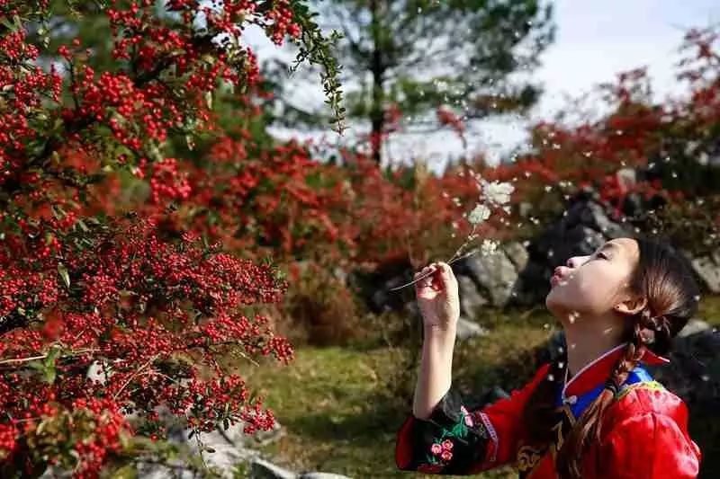 秋天必打卡的地方,石柱秋天打卡