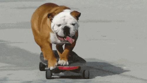 谈资|那个专门画绅士的Mr.Slowboy,这次帮dunhill画了一只狗