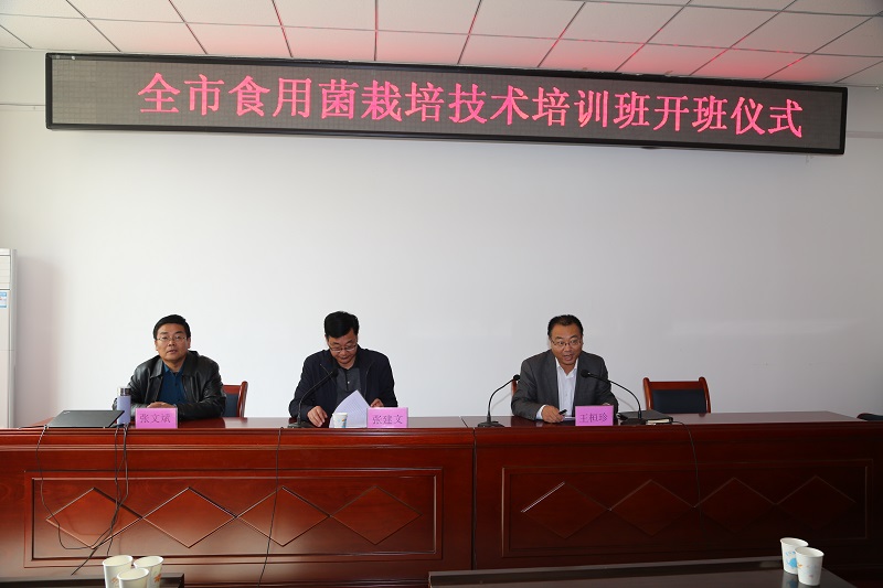 湖南食用菌栽培技术培训班,食用菌技术培训班