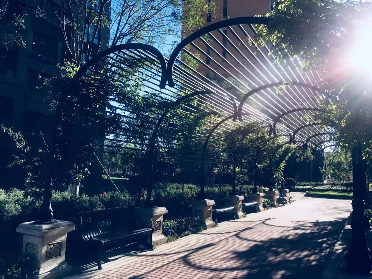 喜迎十九大永远跟党走横幅书法,喜迎十九大童心永向党书画作品