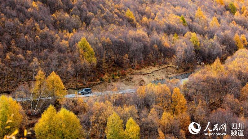 康巴有十美道孚有八美,康巴道孚美景图