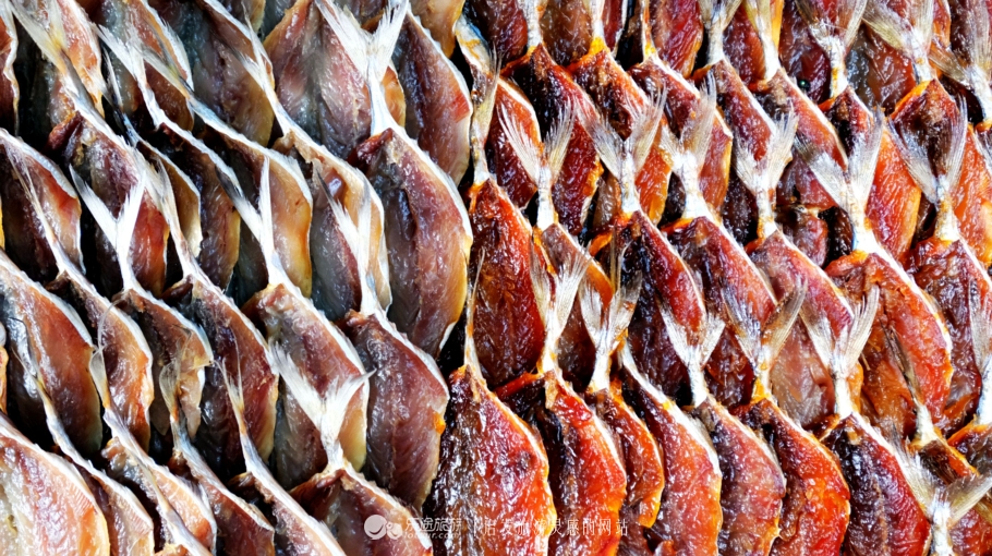 坐着小马车去赶集,坐着大巴去赶集