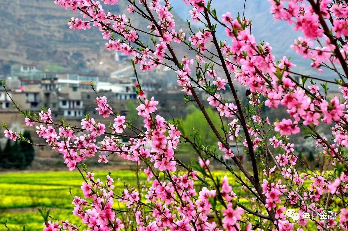 网贷美国上市有哪家,最新网贷公司美国上市