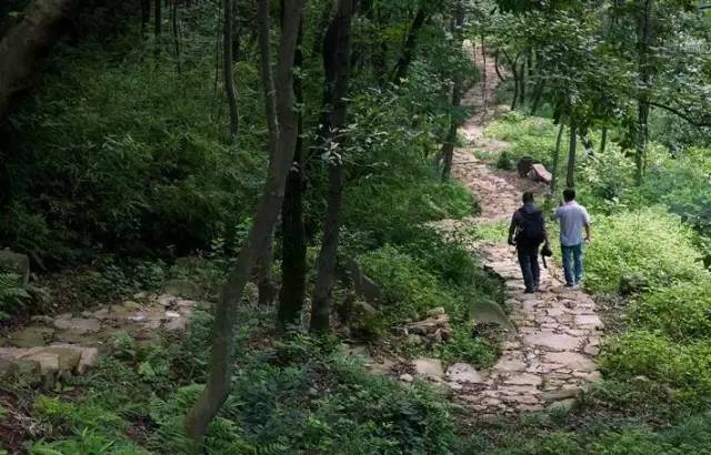 走不完的山川大地,走不完的川西看不完的美景