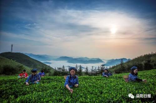 从云上到脚下的感悟,从云上到云端