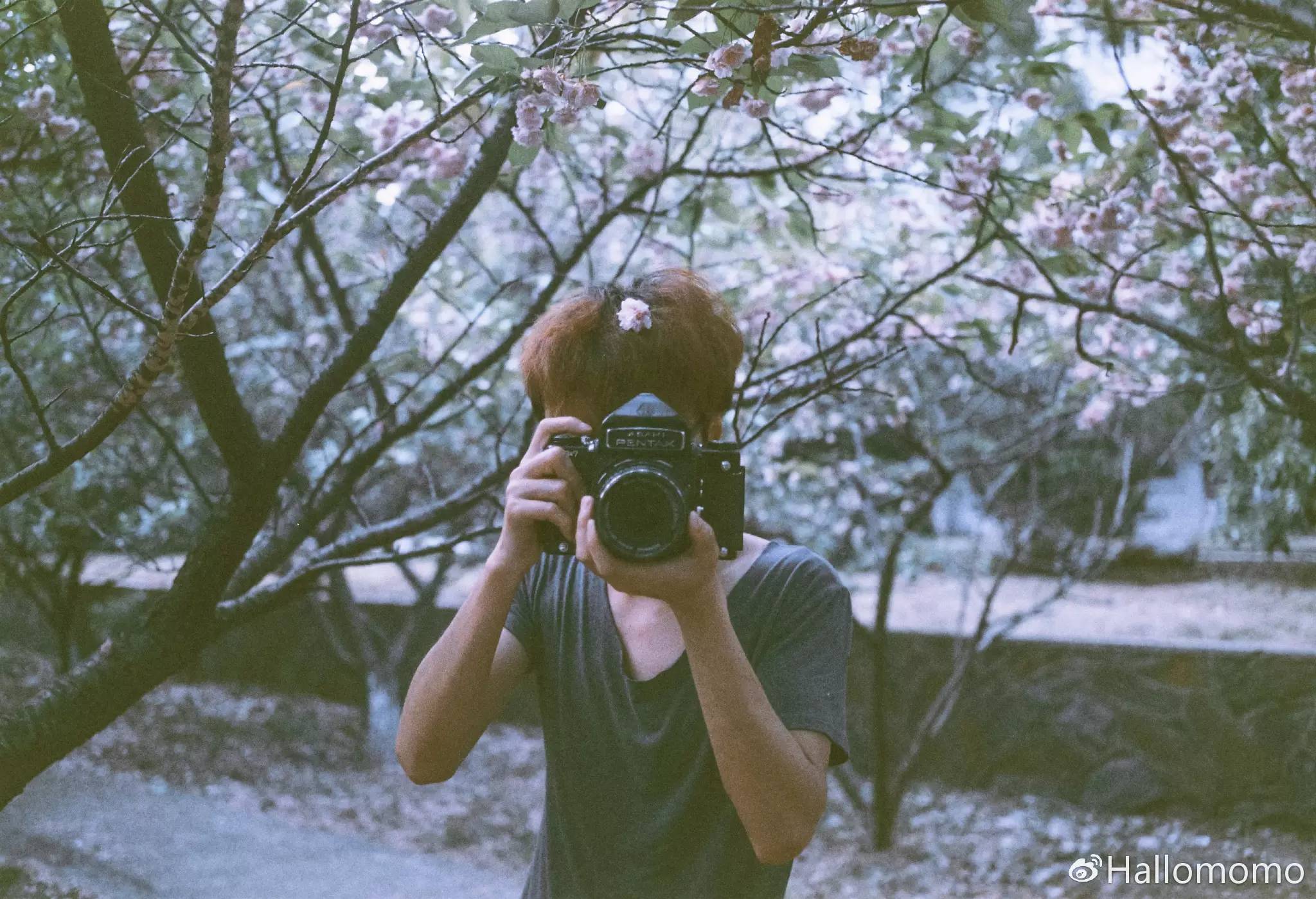 中画幅胶片机推荐,有哪些值得买的胶片机