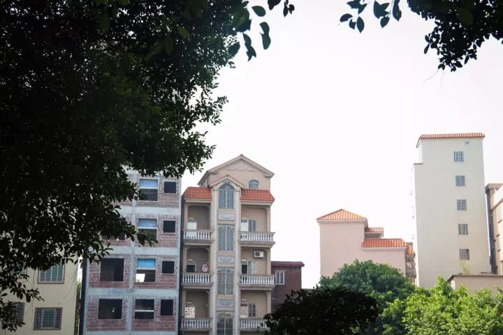 「村居行」荷叶田田，古韵悠扬！寻访禅城这条古村，沉醉不知归路