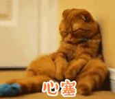 微信又双叒叕更新了3项功能这类人不能用,微信又更新了8.0.4