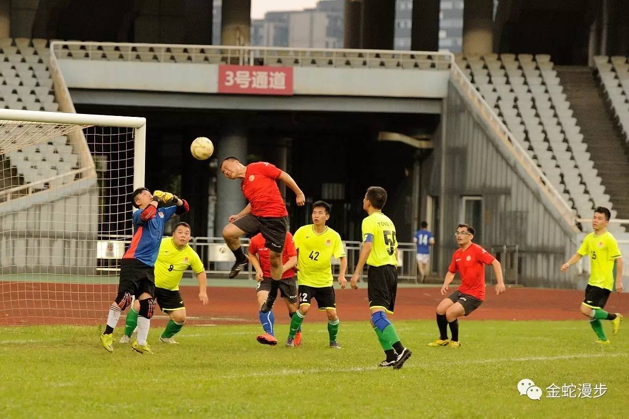 江西省第十届足球运动会2024赛程,税务杯足球比赛