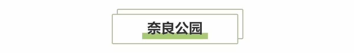 日本8月5日淀川花火大会观赏攻略,2023淀川花火大会个人视角全记录