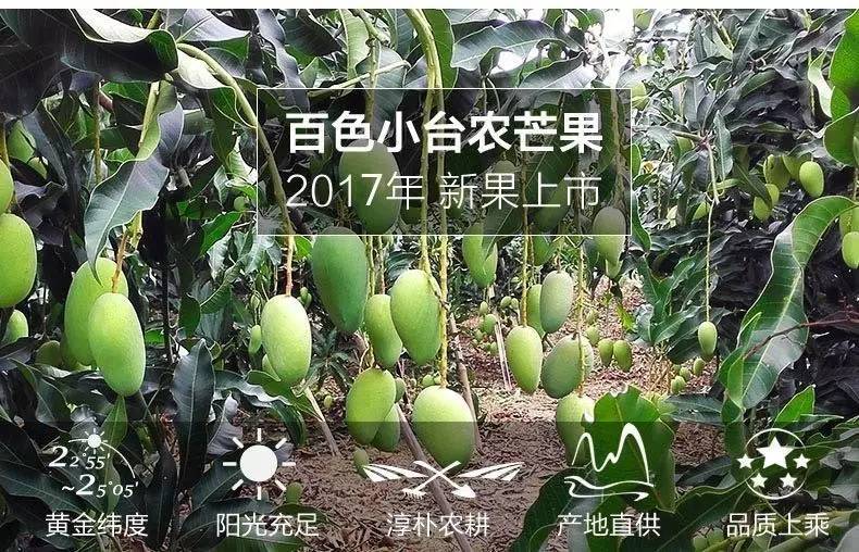 果园免费试吃,果园免费试吃大全