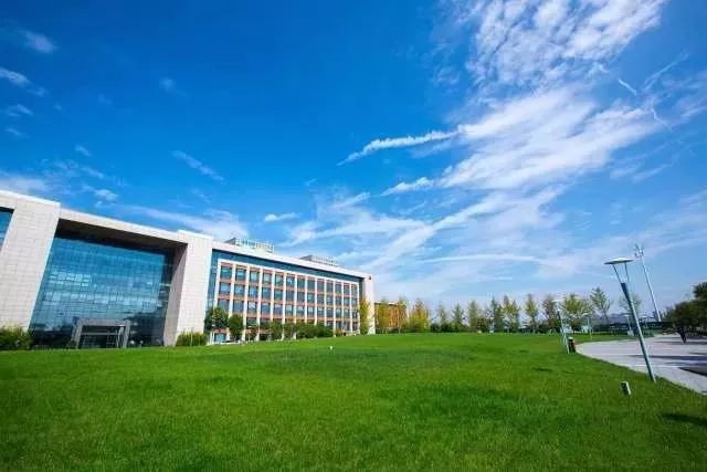 创意与创新|没想到在对待女程序员的问题上你是这样的ThoughtWorks