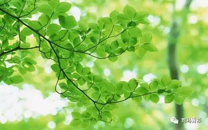 宗风秋丨利字当头,德行天下