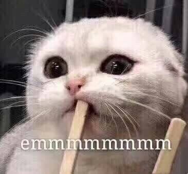 解惑这个词的来源,解惑同义词