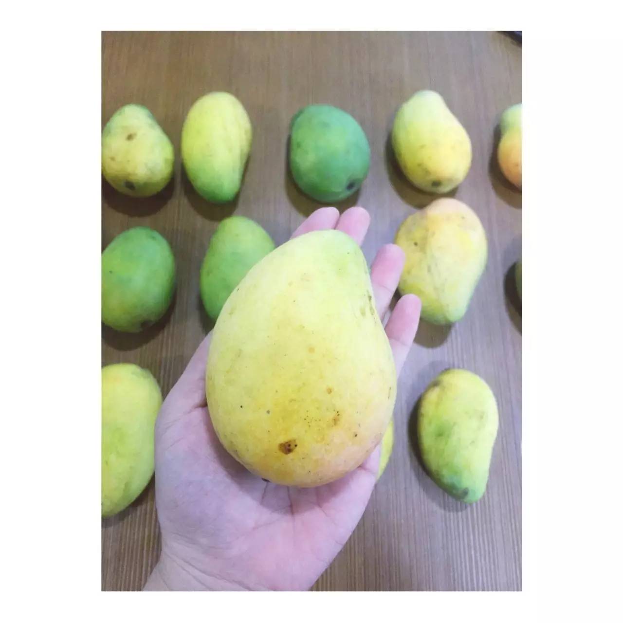 果园免费试吃大全,2019果园免费试吃