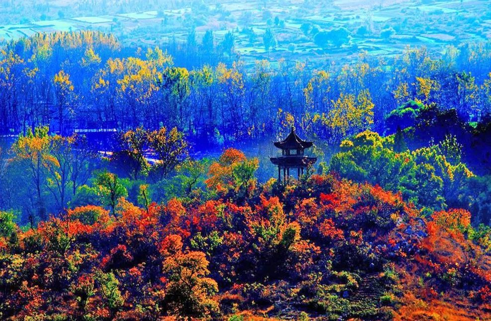 全体淮北人：赶紧来看她最后一眼，要不得再等一年！