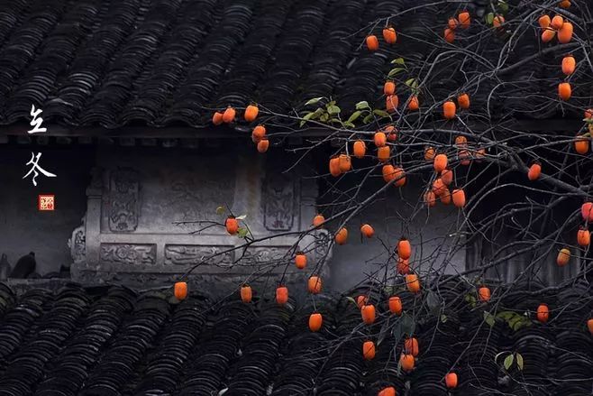 今日立冬品读最美的十首节气诗词,节气物语今日立冬