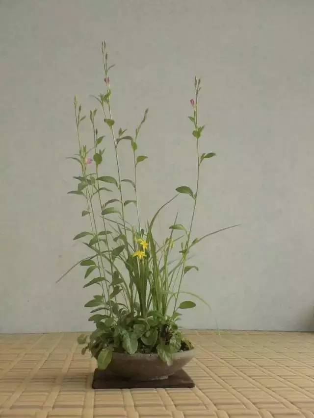 一花一世界一草一天堂一叶一菩提,一花一世界一草一天堂歌曲