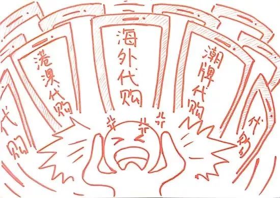 即使是“双十一”也不能如此代购——海曙区检察院依法妥善处理销售代购进口药品系列案件，全力保障一带一路贸易畅通