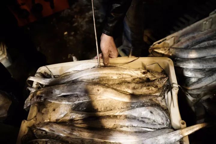 上海吃海鲜必去的地方推荐,距离上海2小时内车程的景点