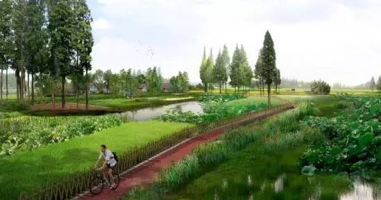 天府绿道风景图片,天府绿道和锦江绿道是一条路吗